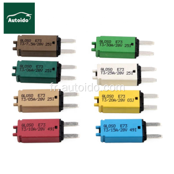 E73 12/24V surcharge Current Thermal Manual Reset Mini